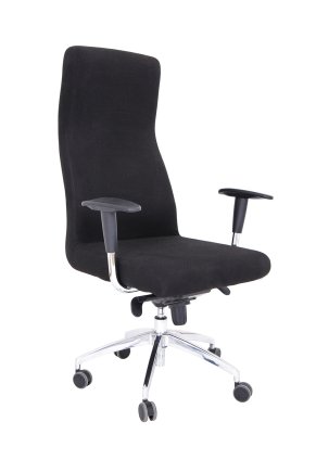Zdravotnícke kreslo REX Plus - 1
