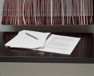 Výsuvná polica BIT08RSPS