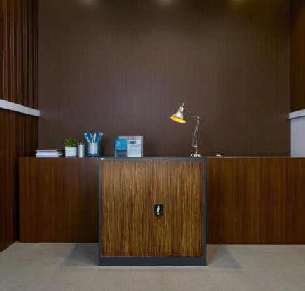 Plechová policová skriňa s otváraním dverí 110° C01B antracit/imitácia tmavé drevo - 4