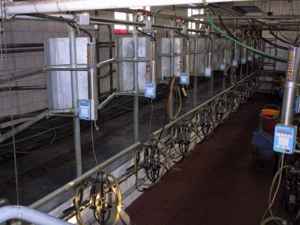 Podlahová doska veľká typ 117  interiérová hladká - 7