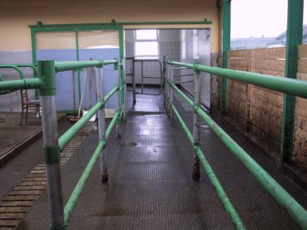 Podlahová doska malá typ 123 interiérová guličková vstrekovaná - 4