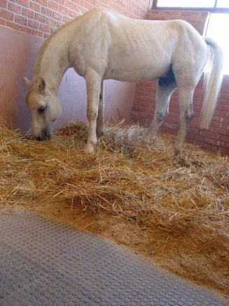 Podlahová doska malá typ 111 stajňová - 2